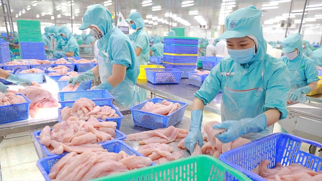 IDI đặt mục tiêu doanh thu 8.000 tỷ đồng, đẩy mạnh mở rộng thị trường