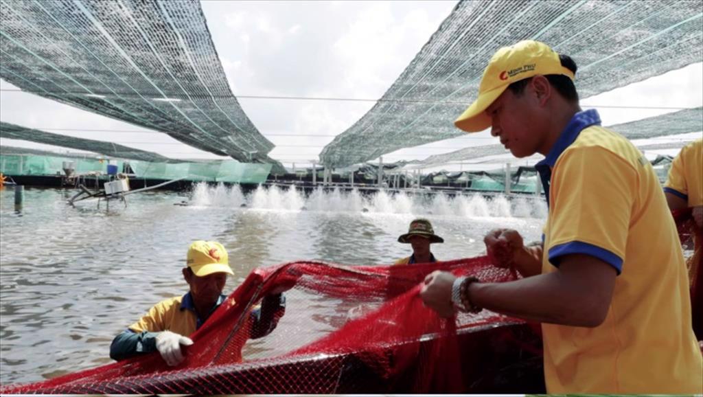 Minh Phú đề xuất giải pháp giúp ngành tôm tăng trưởng hai con số với công nghệ sinh học xanh - sạch - bền vững 