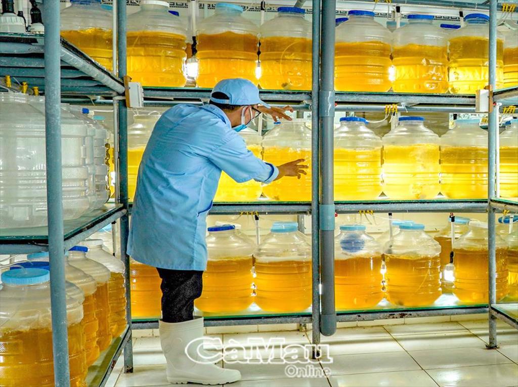 Sản xuất con giống - Phát triển nghề nuôi thuỷ sản