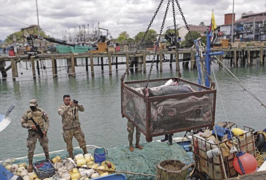 Panama truy quét đánh bắt bất hợp pháp ở vùng biển Thái Bình Dương được bảo vệ