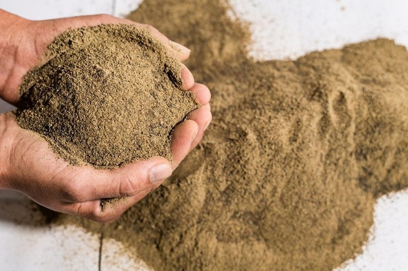 Tình trạng thiếu bột cá toàn cầu sẽ diễn ra trong vòng chưa đầy một thập kỷ nữa