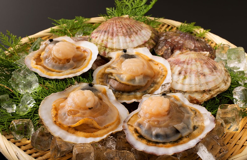 Tác động thuế đối ứng của Mỹ tới thị trường sò điệp của Nhật Bản