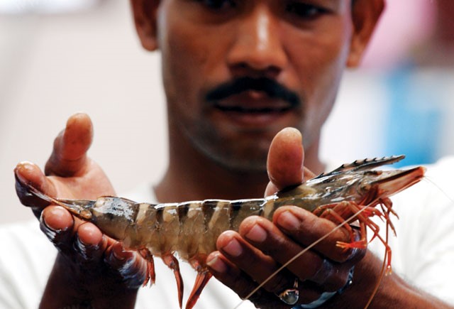 Ấn Độ không thể bị thay thế trên thị trường tôm của Hoa Kỳ