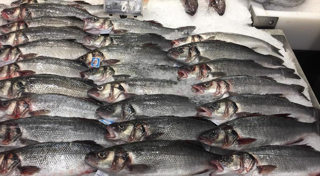  Anfaco (Tây Ban Nha) kêu gọi EU hành động để bảo vệ xuất khẩu thủy sản trước thuế quan Hoa Kỳ