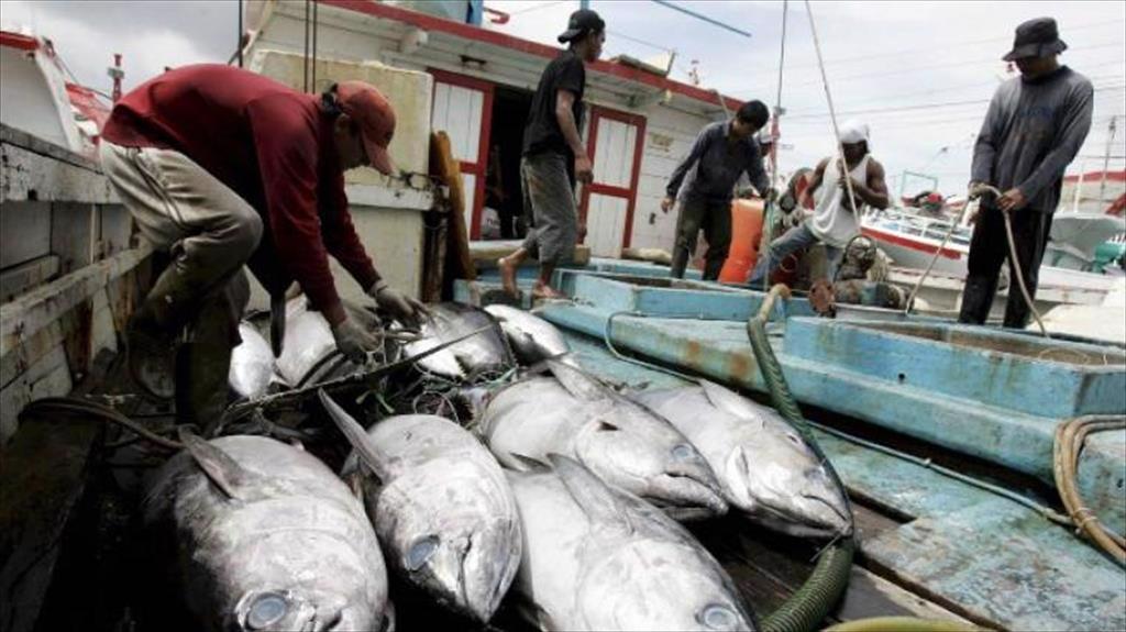 Ecuador – Ngôi sao đang lên của ngành công nghiệp cá ngừ