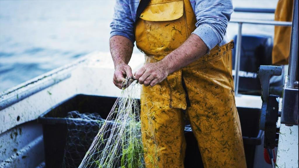 Mexico tăng cường giám sát nghề cá bằng thỏa thuận mới