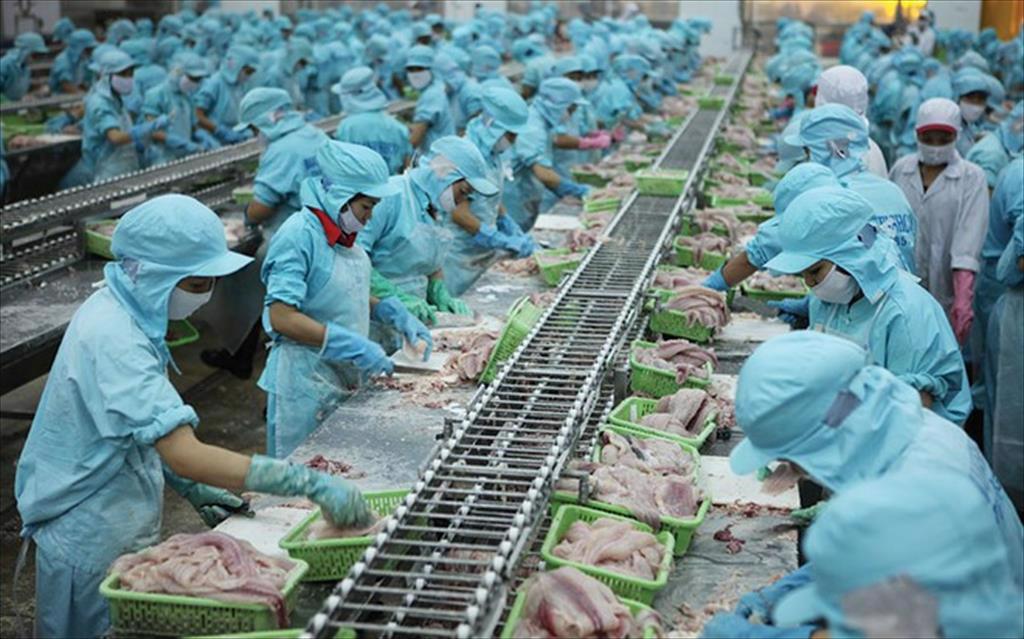 Vietnam acts fast to shield seafood exports amid US tariff