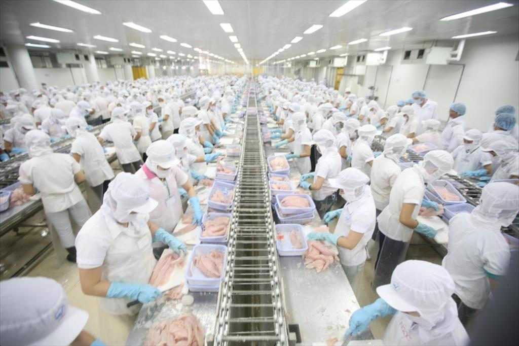 Vietnamese seafood industry proactively adapts to new EU regulations