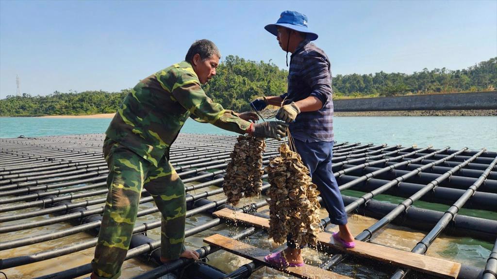 Quảng Ninh hướng đến phát triển ngành thủy sản bền vững