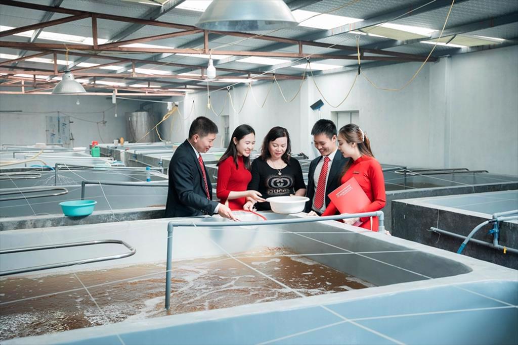 15 ngân hàng bơm 100.000 tỷ đồng cho nông, lâm, thủy sản