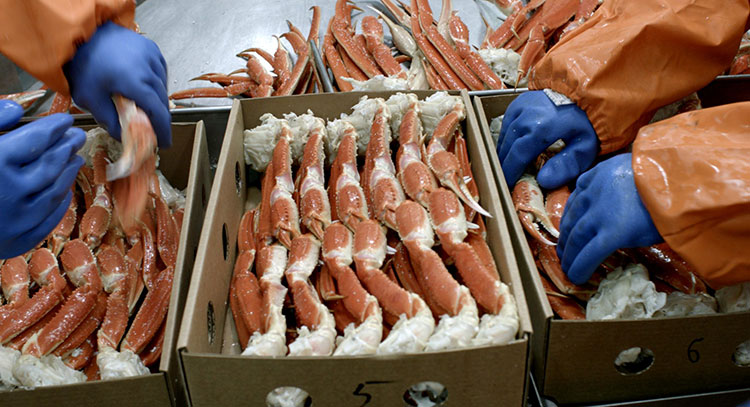 Trump lặng lẽ gia hạn lệnh cấm nhập khẩu hải sản của Nga 