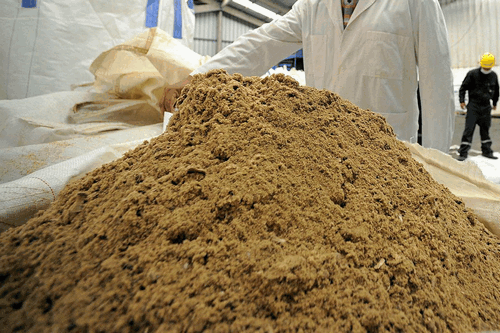 Thị trường bột cá Chile giảm doanh thu do sản lượng Peru tăng 