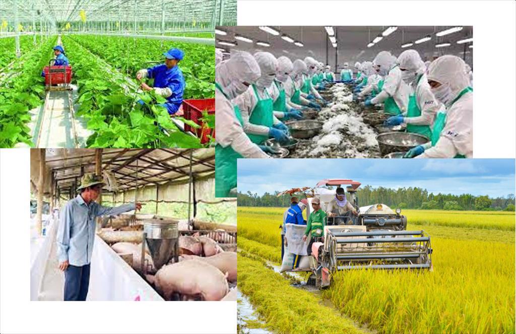 Vietnam to diversify markets for agricultural products amid global trade shifts