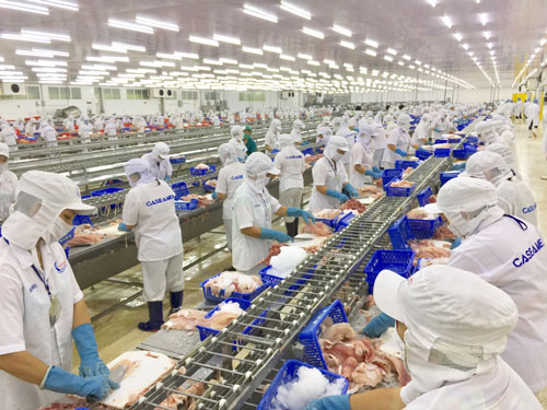 Potential and opportunities for Vietnam’s seafood exports to Brazil