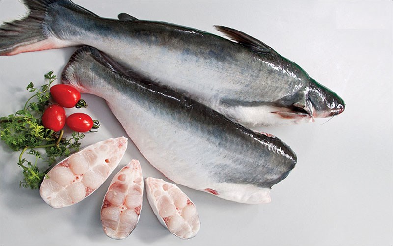 Vietnamese pangasius, with its low cost and stable quality, is ideal for Brazil’s middle-and lower-income segments