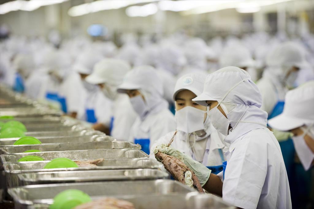 Đàm phán thương mại EU-Thái Lan tiếp tục khi Tây Ban Nha lo ngại về ngành cá ngừ