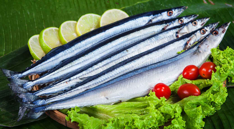 Nhật Bản lần đầu tiên giảm hạn ngạch cá thu đao Thái Bình Dương xuống dưới 100.000 tấn