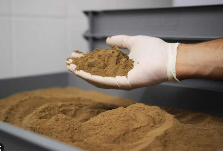 Ngành bột cá khởi đầu năm 2025 tích cực nhờ sản lượng tăng mạnh