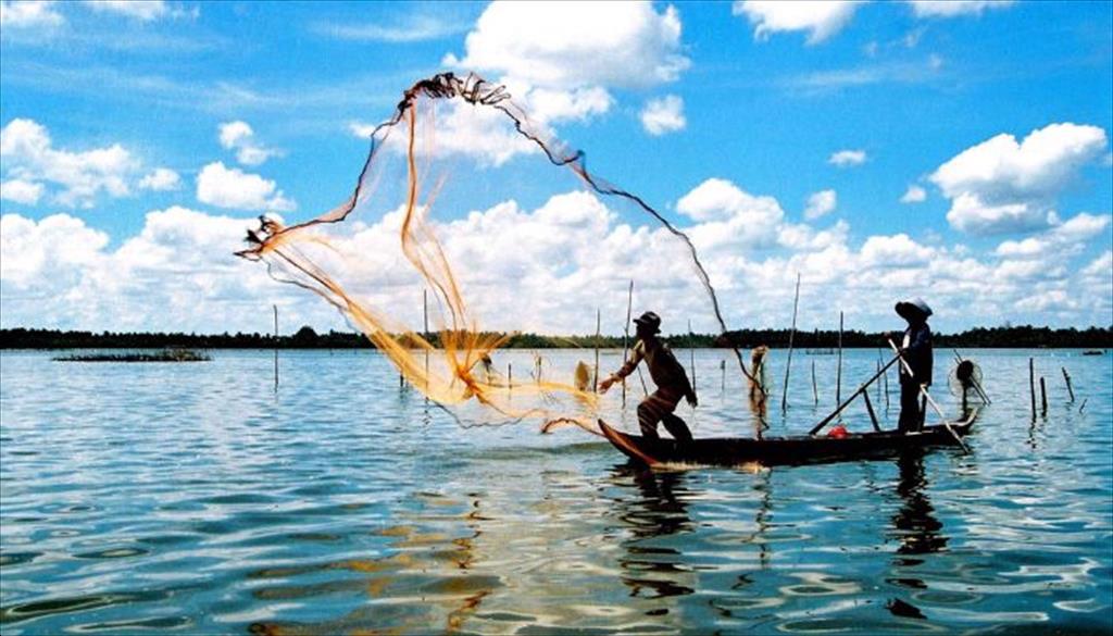 Diversifying aquaculture species to drive breakthroughs