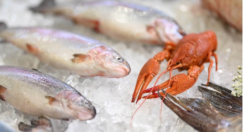 Nga sẽ tăng công suất vận chuyển thủy sản tại cảng chính Sakhalin