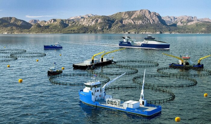 Xuất khẩu thủy sản của Iran tăng nhờ mở rộng nuôi trồng thủy sản 