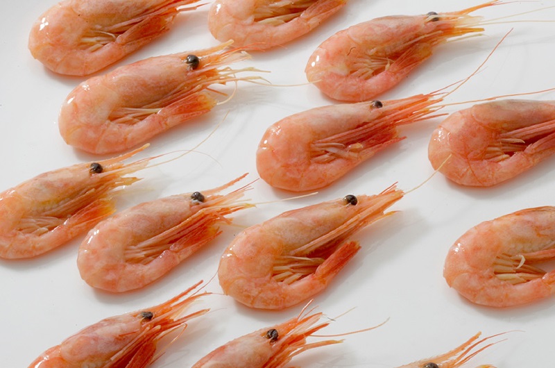 Canada đặt hạn ngạch cao hơn cho đội tàu đánh bắt tôm phía bắc