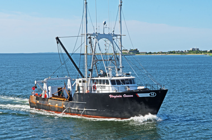 Kỷ nguyên mới trong bảo tồn đại dương Cuộc họp toàn cầu chống đánh bắt cá IUU