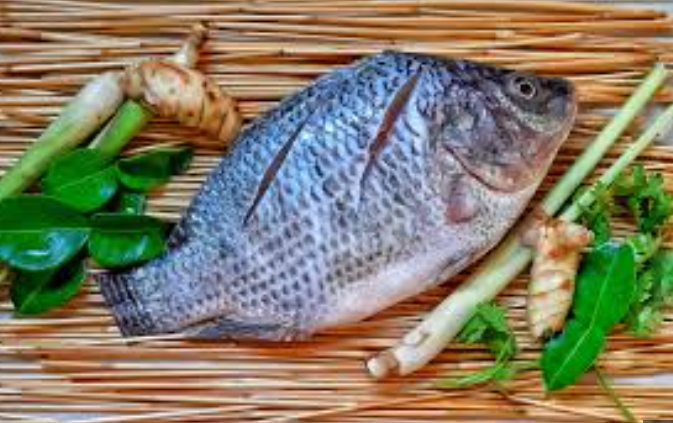 Mỹ nâng thuế nhập khẩu cá rô phi Trung Quốc lên 170%