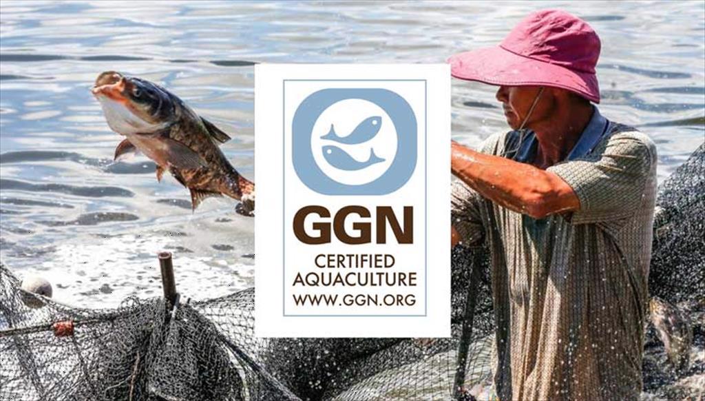 GlobalGAP Truy xuất nguồn gốc là một phần quan trọng để đáp ứng phạm vi mở rộng của “tính bền vững”