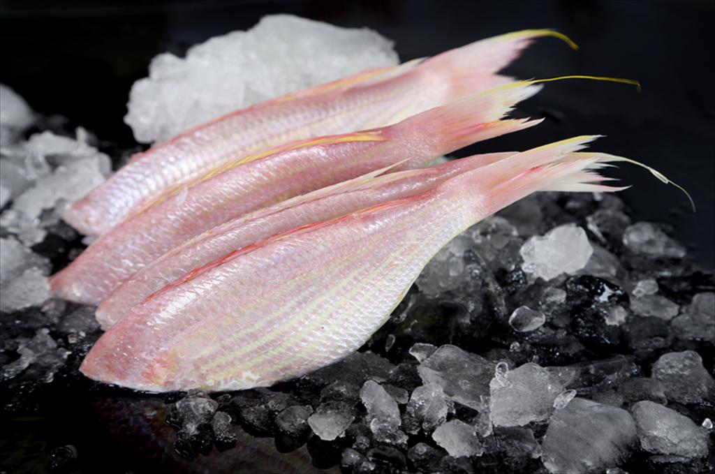 Nhu cầu tăng mạnh của Trung Quốc đẩy giá surimi itoyori của Ấn Độ tăng 10%