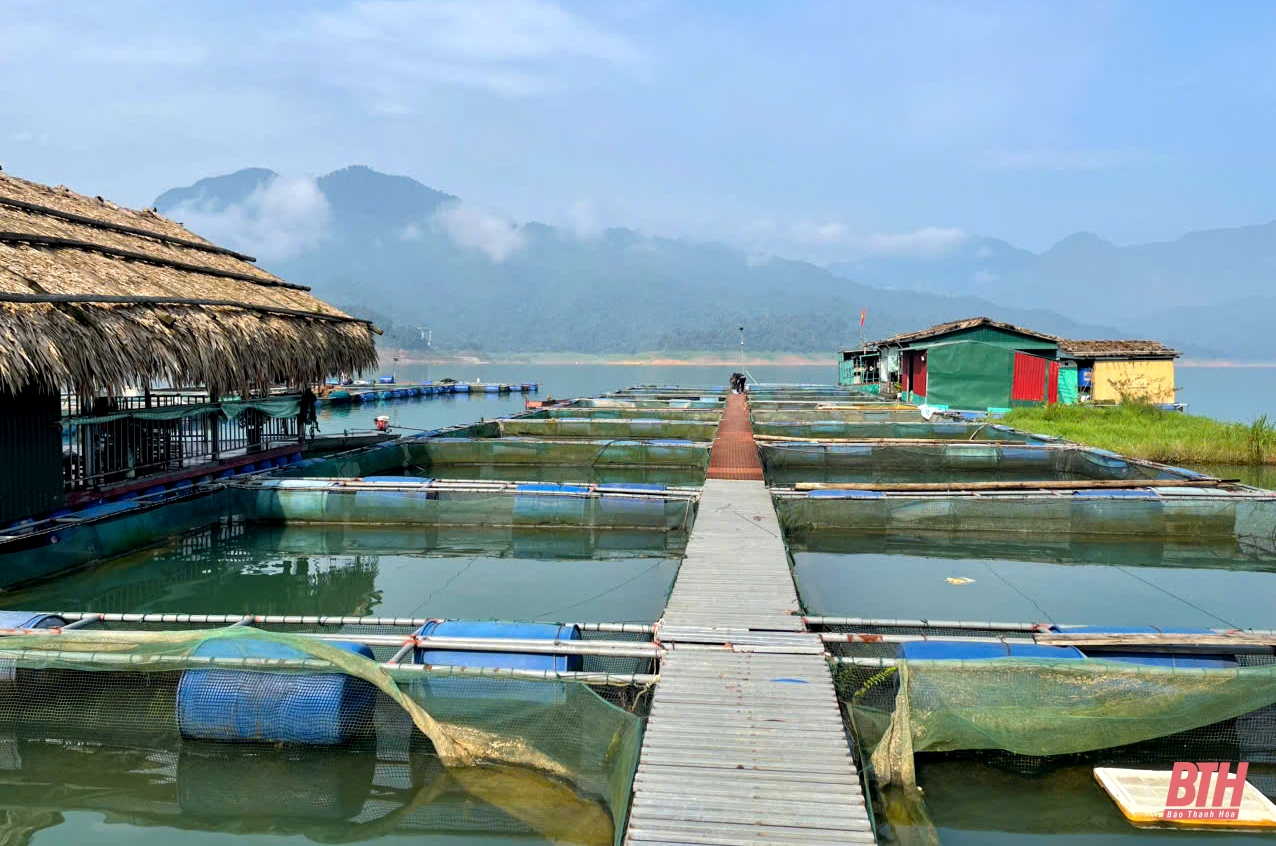 Thanh Hóa Nuôi cá lồng trên hồ thủy lợi, thủy điện