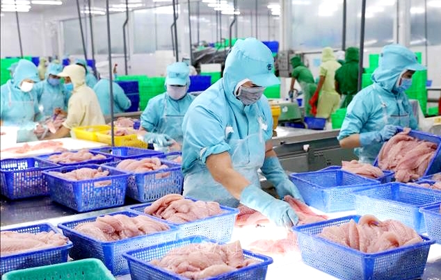 Nhu cầu tiêu thụ từ Trung Quốc vẫn là một trong những động lực lớn thúc đẩy xuất khẩu cá tra Việt Nam