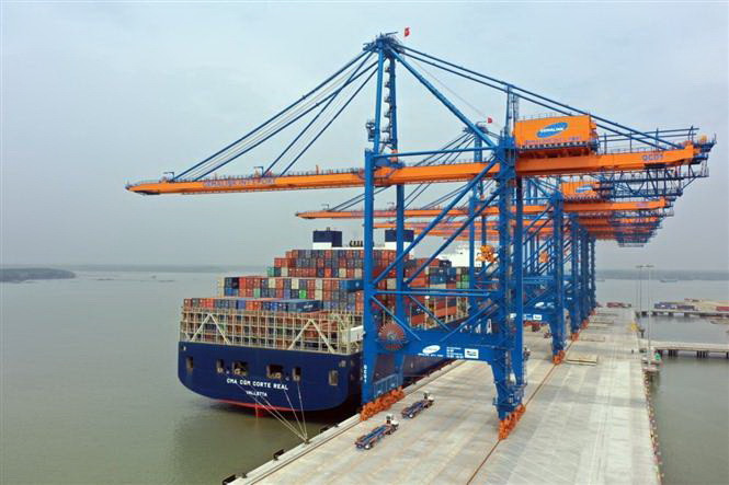 Ngành thủy sản Thiếu container nghiêm trọng hơn cả thuế quan