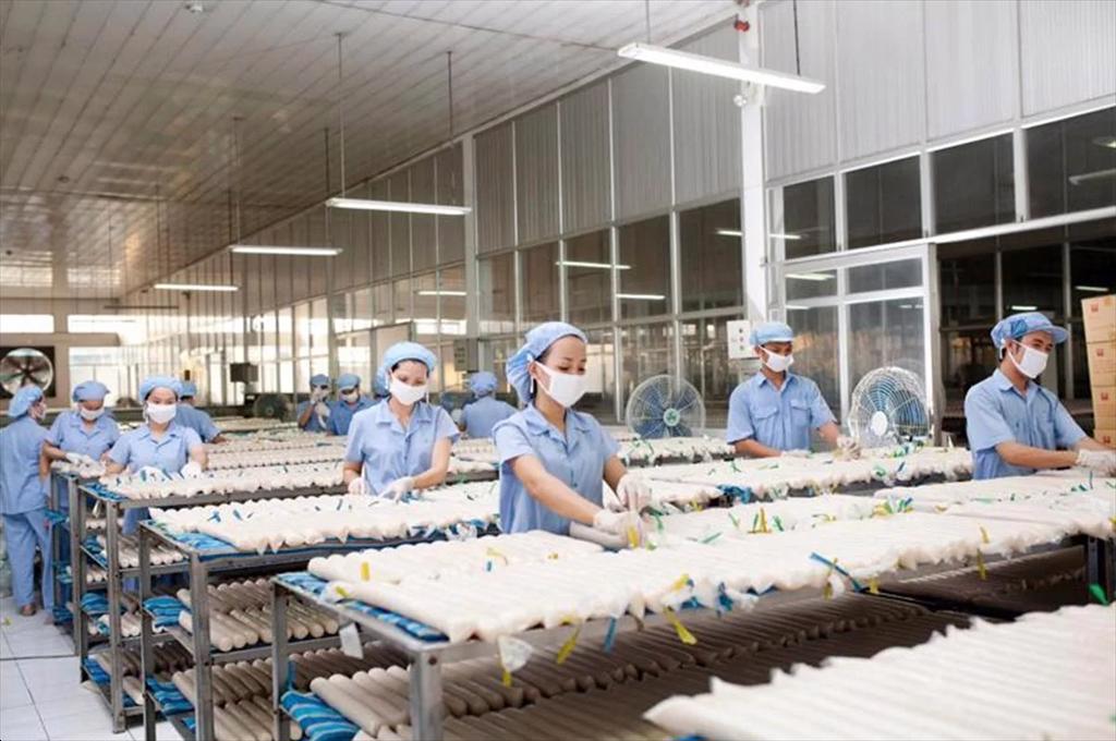 Phồng tôm Sa Giang chinh phục thị trường Mỹ – EU, thu 500 tỷ đồng mỗi năm