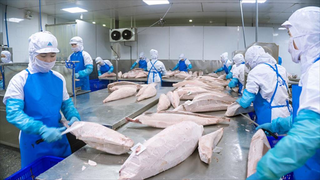 Thị trường Halal Cơ hội cho cá ngừ Việt Nam