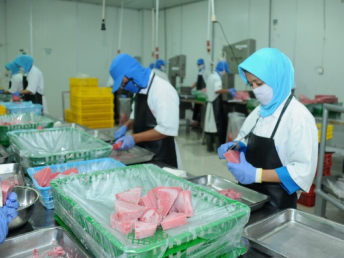 Indonesia thúc đẩy xuất khẩu cá ngừ từ Tây Sumatra sang UAE