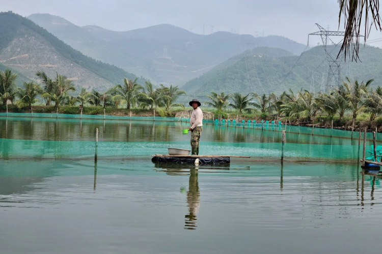 Đà Nẵng Nuôi trồng thủy sản duy trì ổn định