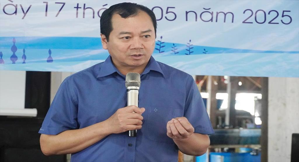 30 hộ dân đăng ký trồng thử nghiệm rong sụn tại Cát Bà