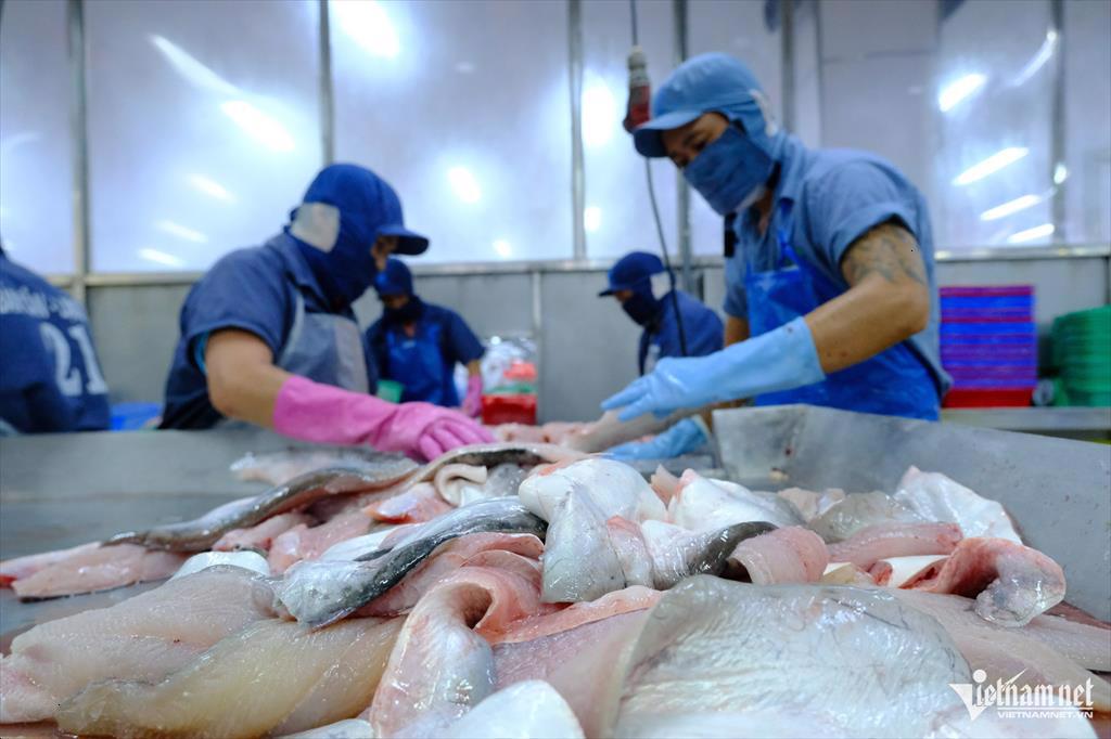 Vietnam tops China-bound seafood exports as US demand shrinks