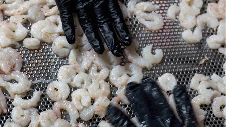 Mỹ công bố danh sách các quốc gia được phép xuất khẩu tôm tự nhiên 