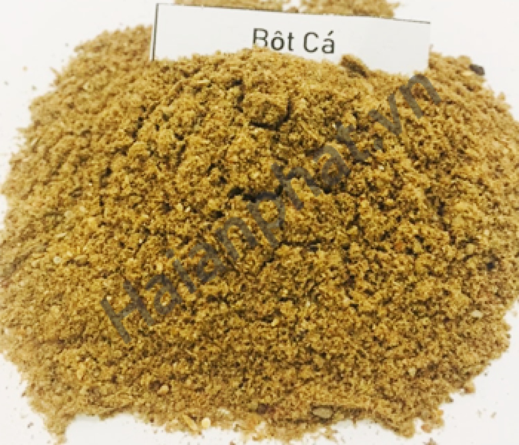 Mục tiêu bền vững quá tham vọng khi ngành bột cá đang gặp khó để chứng nhận nguồn cung 