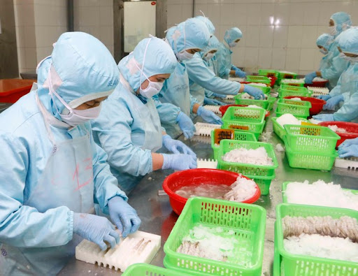 Xuất khẩu tôm tháng 42025 “Chạy nước rút” trước bão thuế, tìm bệ đỡ từ thị trường mới 