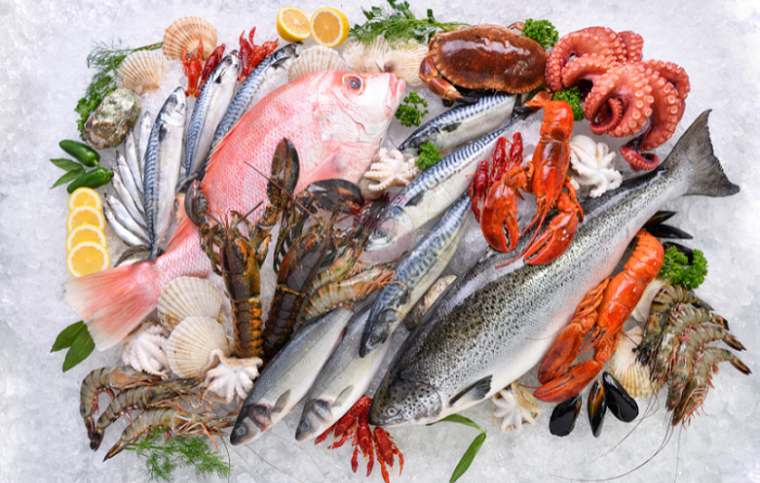 Infographic Xuất khẩu Thuỷ sản của Việt Nam 4 tháng đầu năm 2025