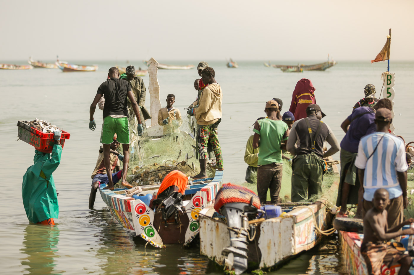 Khủng hoảng nghề cá tại Senegal