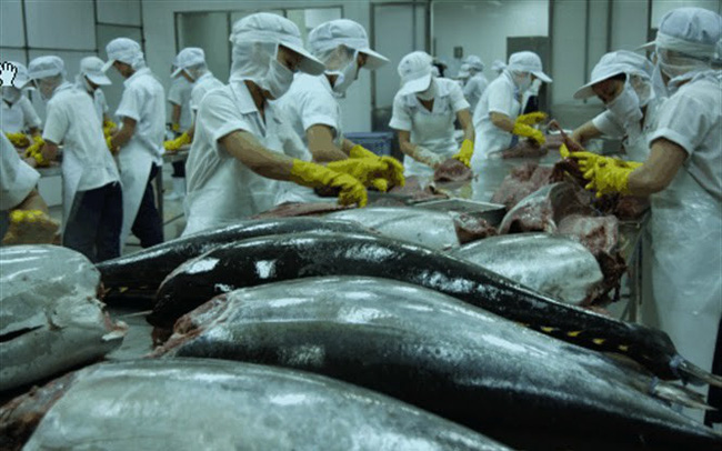 Opportunities abound for expanding tuna exports to Russia