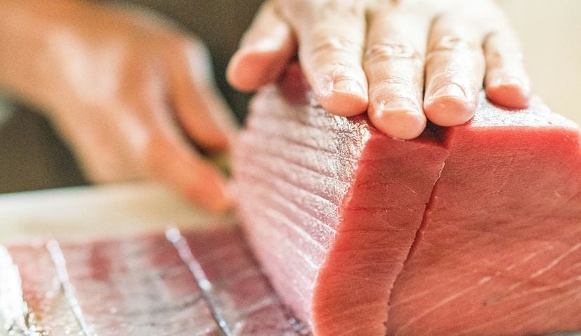 Cá ngừ Croatia được phép tiếp cận thị trường Trung Quốc