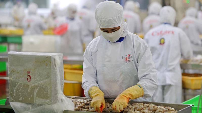Vietnam’s seafood exports slow in May amid U.S. tariff pressure
