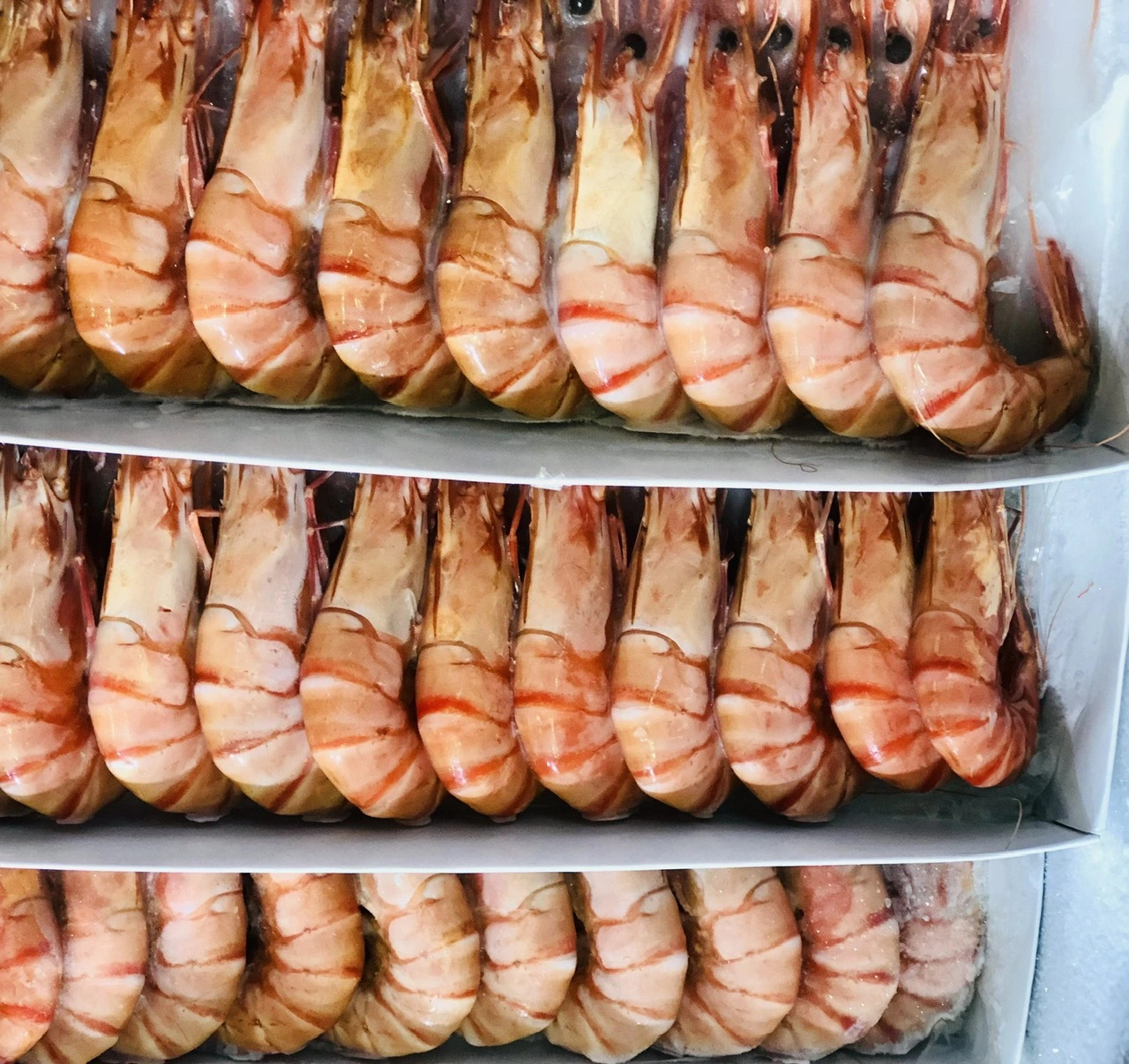 Thuế đối ứng của Mỹ và 3 kịch bản cho tôm cá Việt Nam