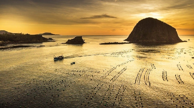 Việt Nam khẳng định cam kết bảo vệ đại dương trên trường quốc tế 