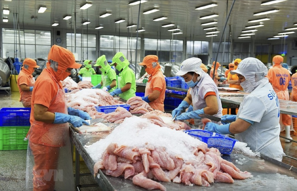 Facilitated by FTAs and consumption demands Vietnam’s pangasius expands in Mercosur